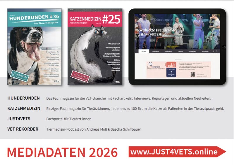 Bildschirmfoto 2025 11 11 um 12 57 37