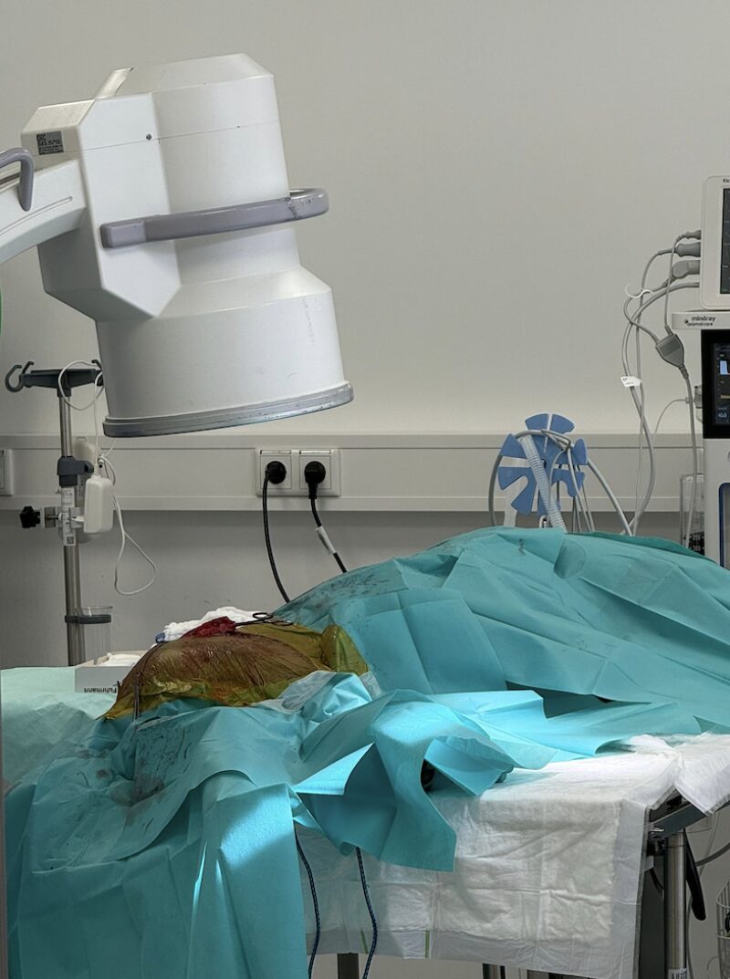 Bildschirmfoto 2025 11 11 um 15 42 27