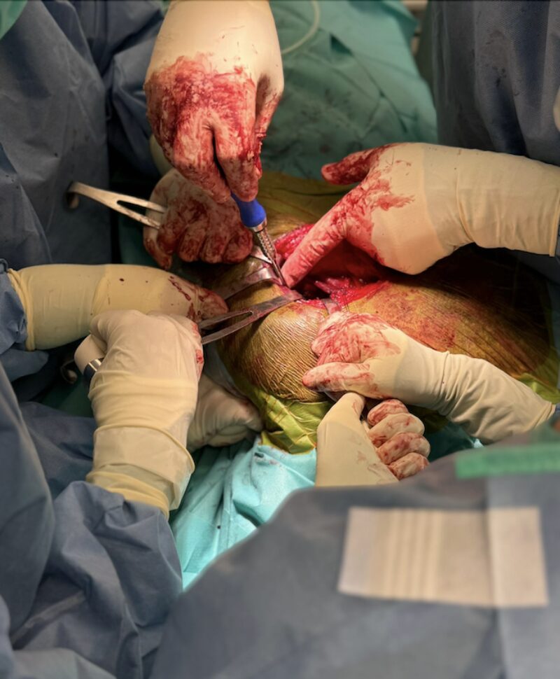 Bildschirmfoto 2025 11 11 um 15 42 46