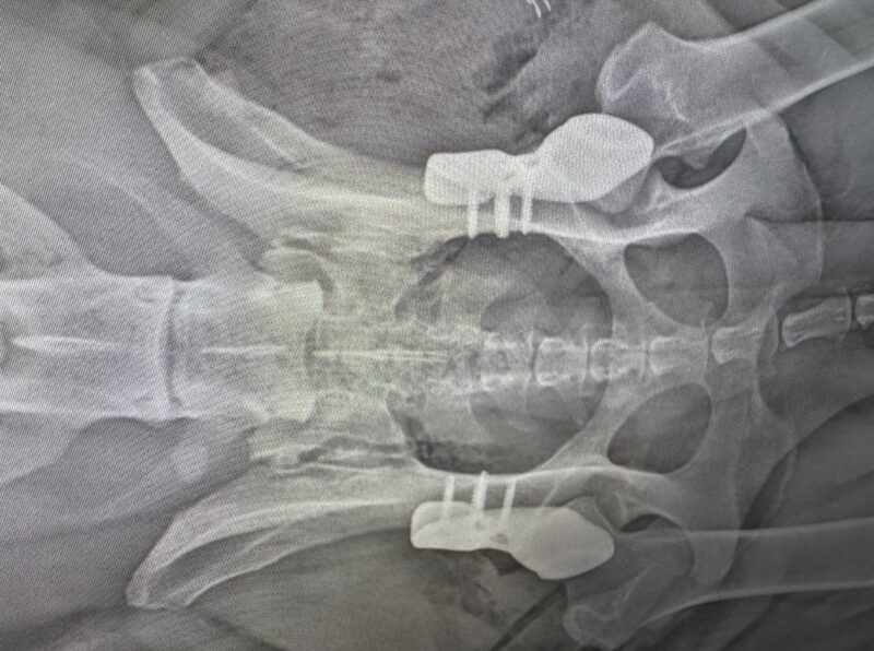 Bildschirmfoto 2025 11 12 um 18 08 00