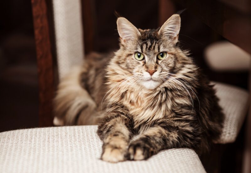 Bildschirmfoto 2025 11 17 um 18 43 55