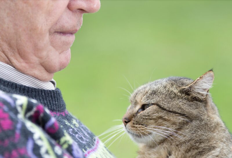 Bildschirmfoto 2025 11 17 um 18 45 06