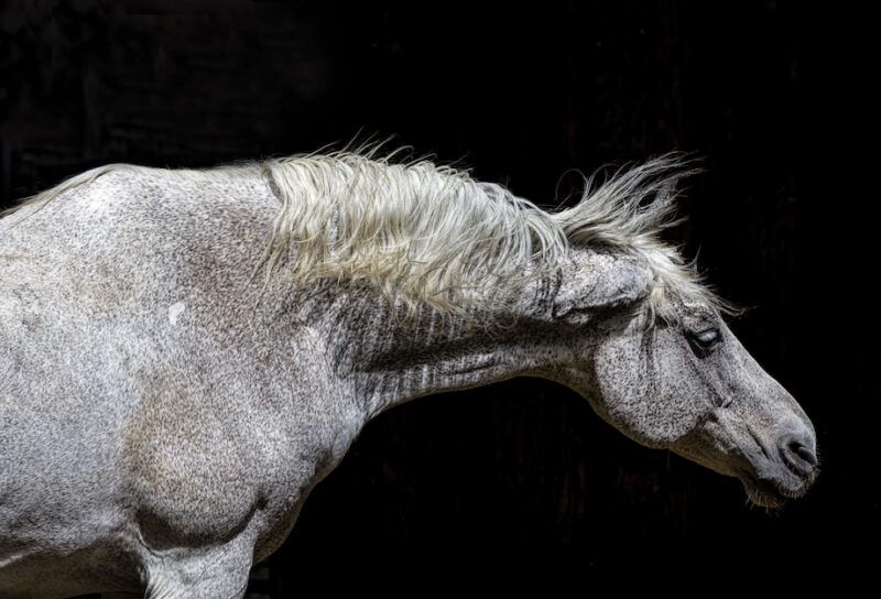 Bildschirmfoto 2025 11 17 um 18 47 31