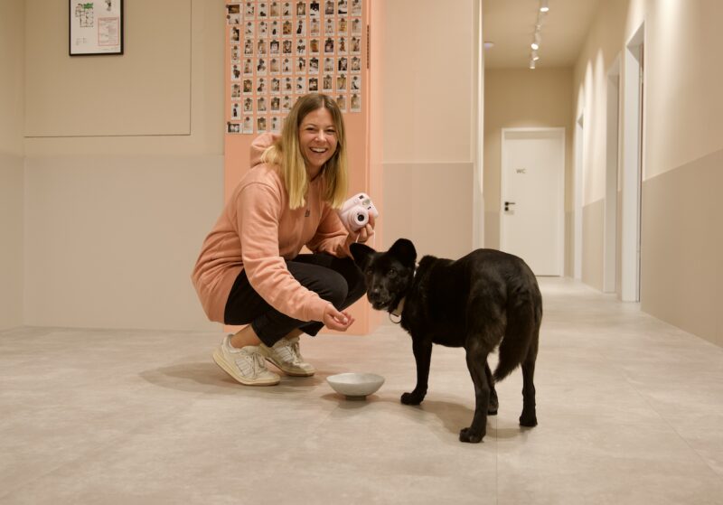 Bildschirmfoto 2025 11 18 um 17 48 32