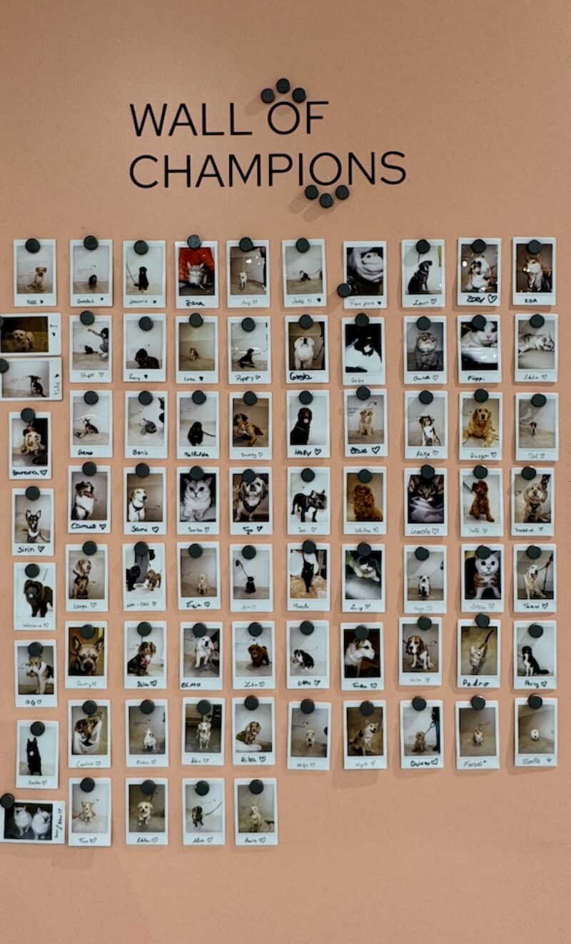 Bildschirmfoto 2025 11 18 um 17 52 52