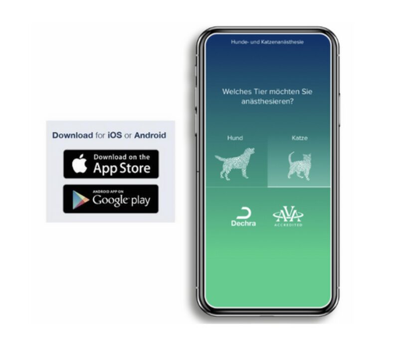 Bildschirmfoto 2025 11 19 um 13 39 18