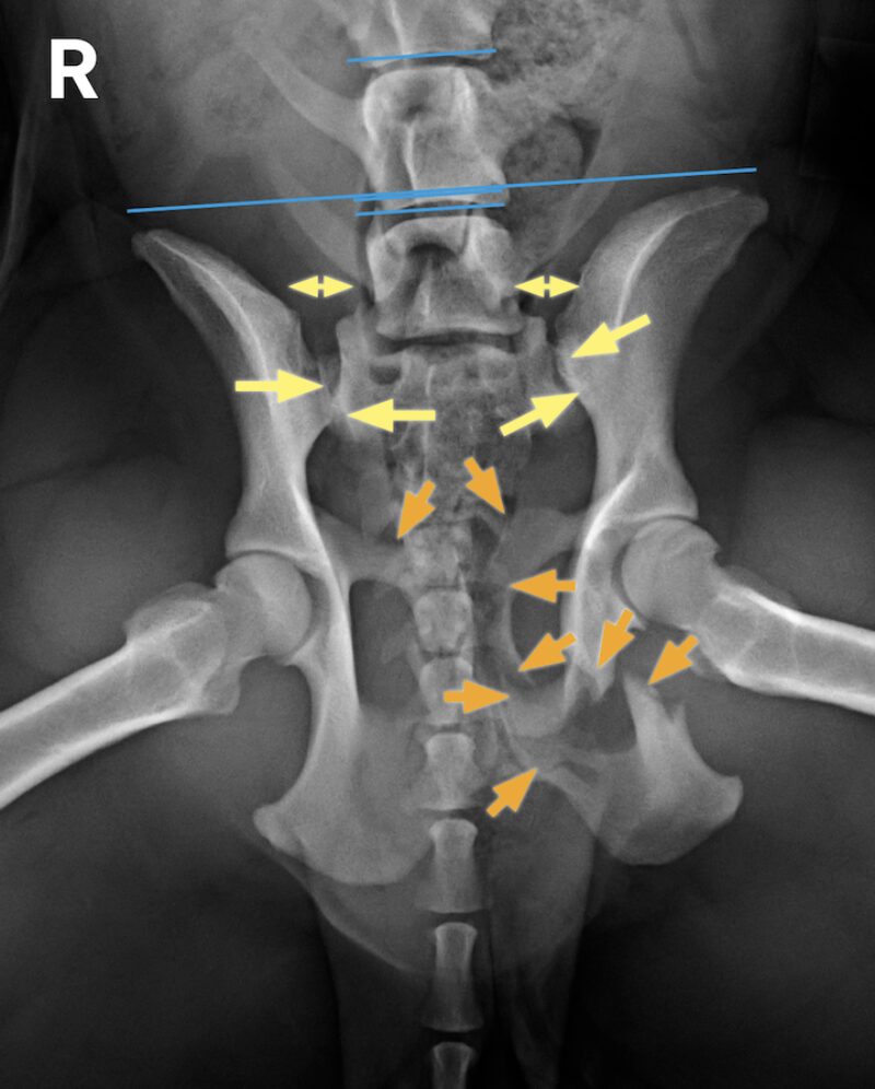 Bildschirmfoto 2025 11 24 um 17 09 29