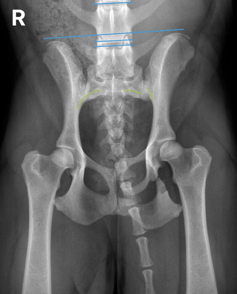 Bildschirmfoto 2025 11 24 um 17 09 46