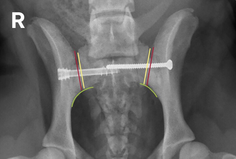 Bildschirmfoto 2025 11 24 um 17 10 40