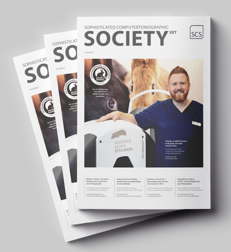 Bildschirmfoto 2025 11 24 um 19 00 50