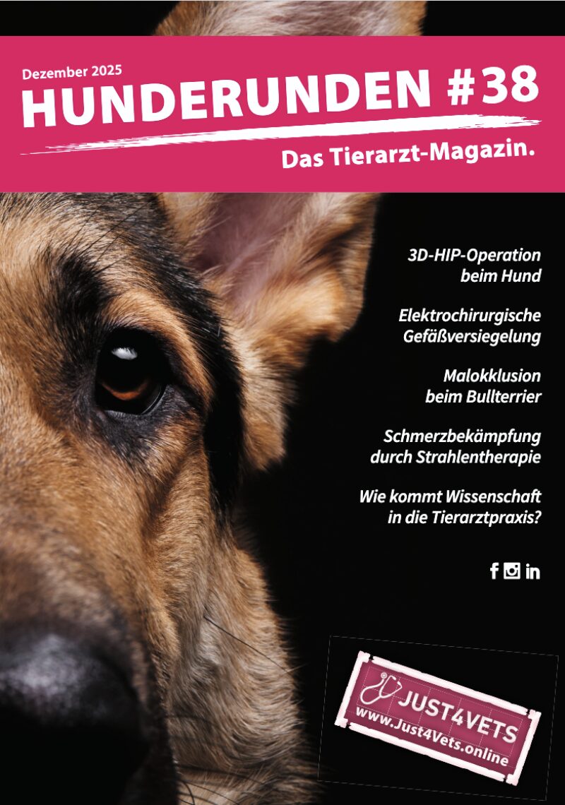 Bildschirmfoto 2025 12 05 um 10 27 43