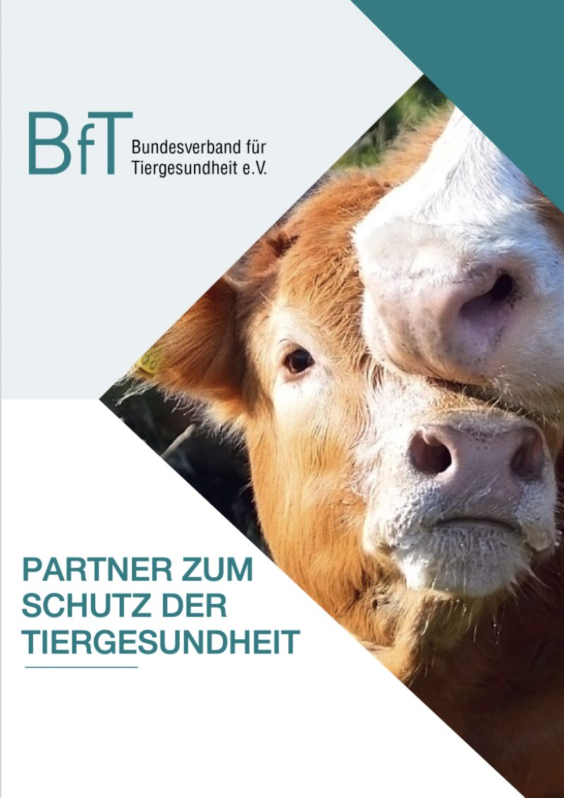 Bildschirmfoto 2025 12 18 um 13 31 05