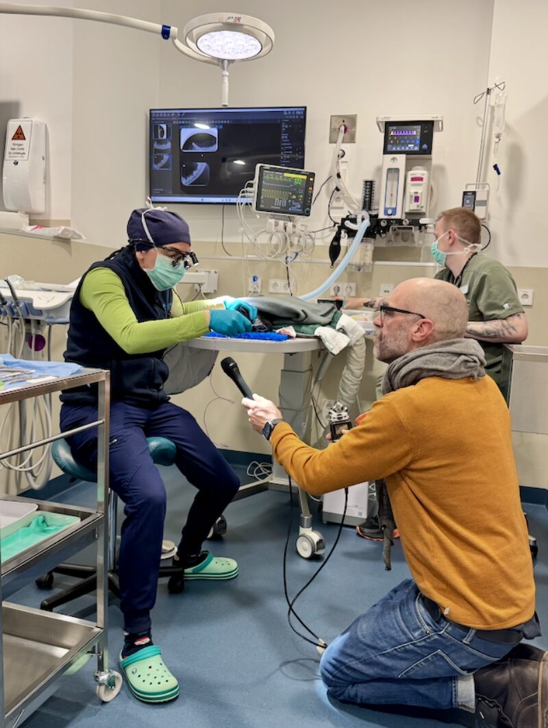 Bildschirmfoto 2026 01 04 um 14 51 06