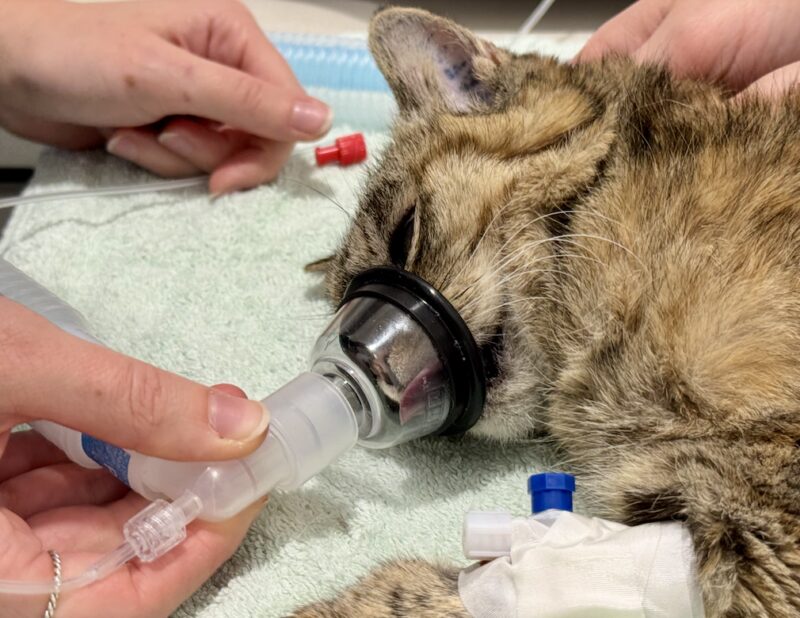 Bildschirmfoto 2026 01 04 um 15 33 35