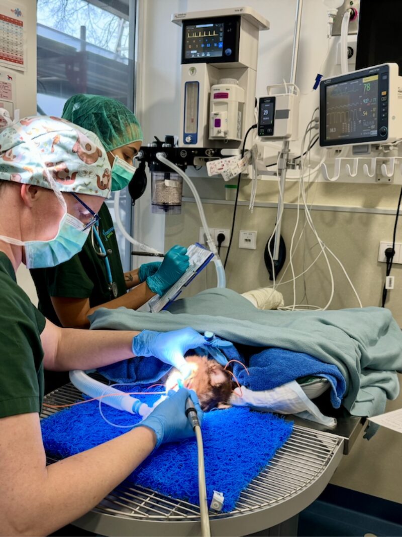 Bildschirmfoto 2026 01 04 um 15 34 58