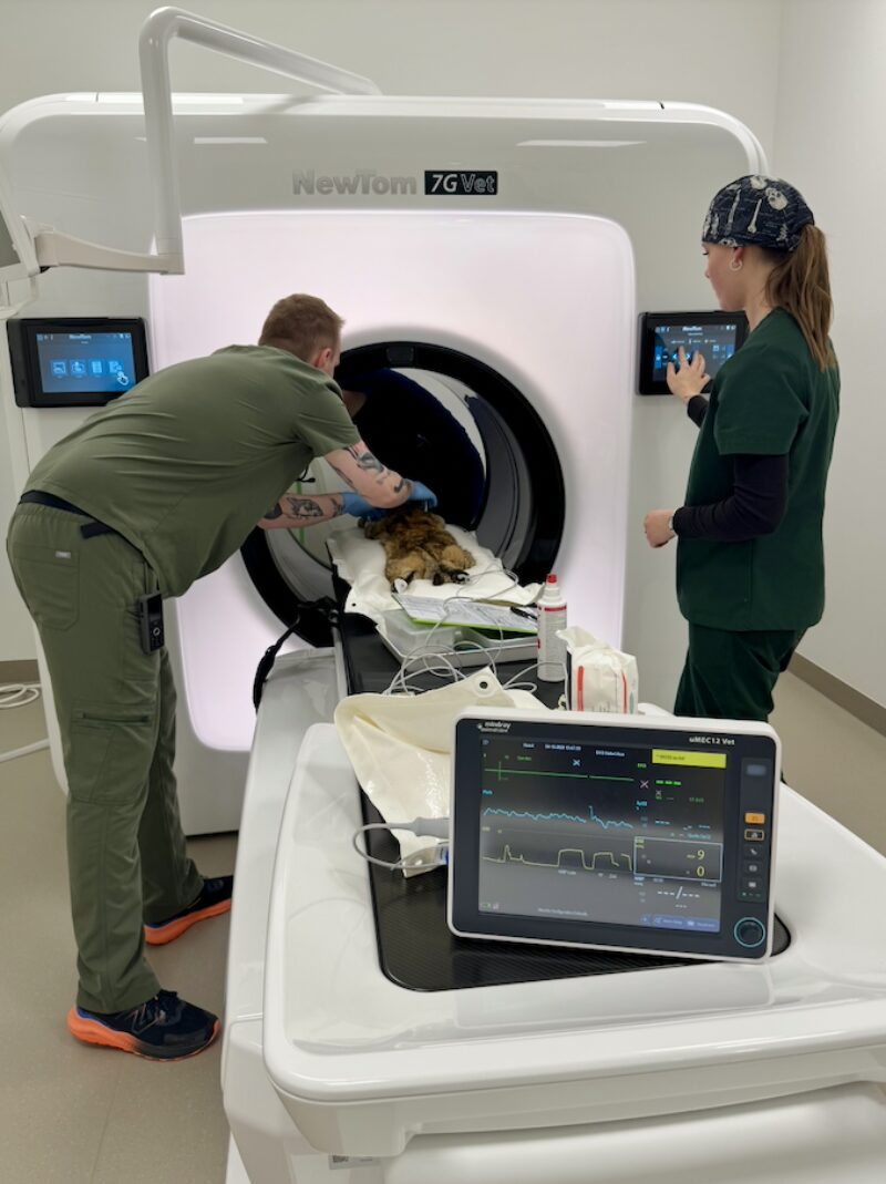 Bildschirmfoto 2026 01 04 um 15 36 34