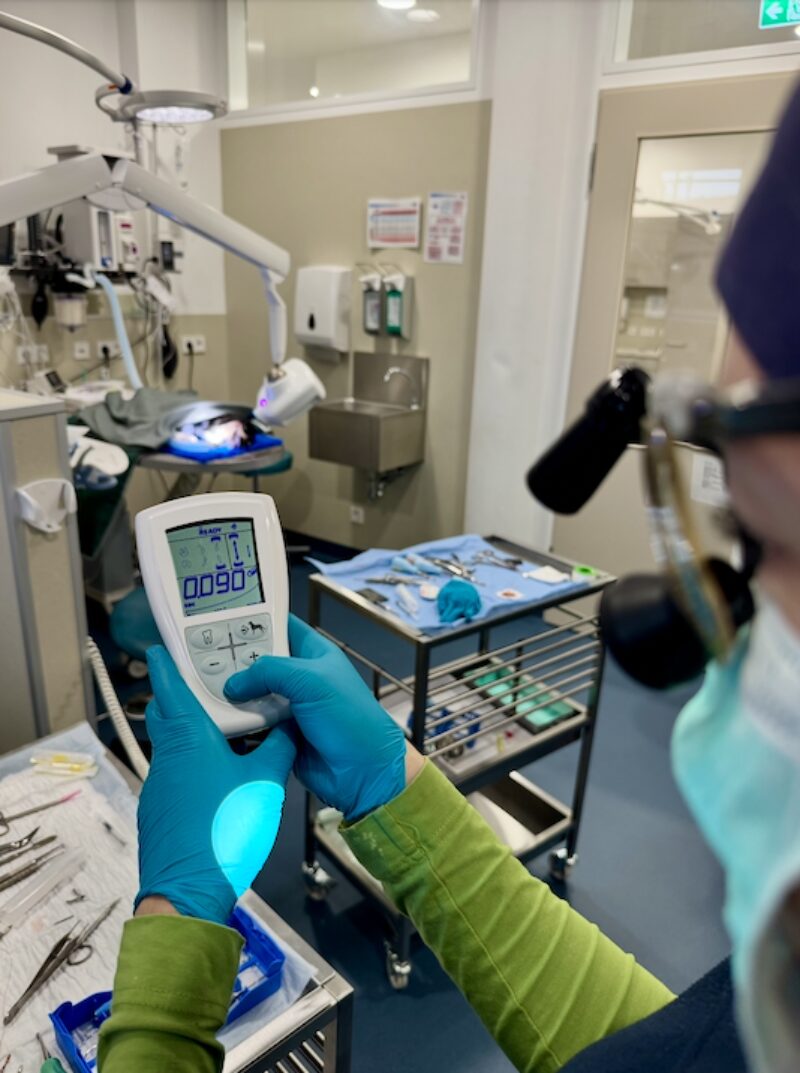 Bildschirmfoto 2026 01 04 um 15 34 34