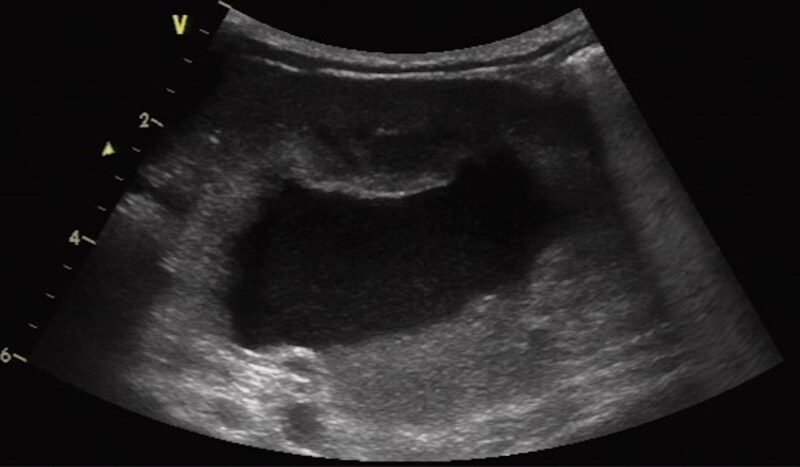 Bildschirmfoto 2026 01 05 um 14 44 29