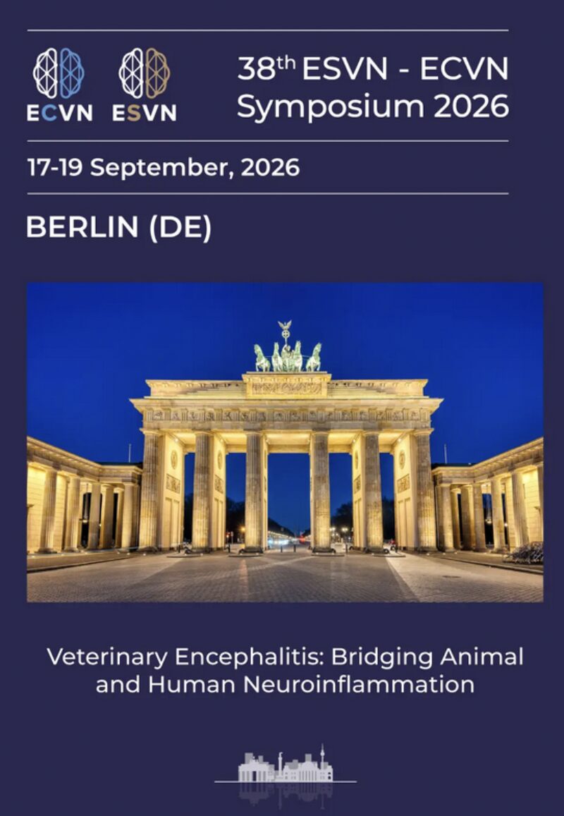 Bildschirmfoto 2026 01 05 um 17 18 00