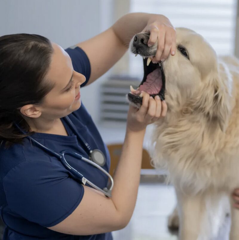 Bildschirmfoto 2026 01 09 um 09 17 57