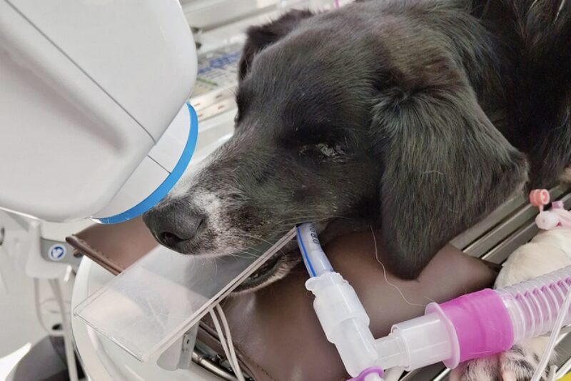 Bildschirmfoto 2026 01 09 um 09 16 05