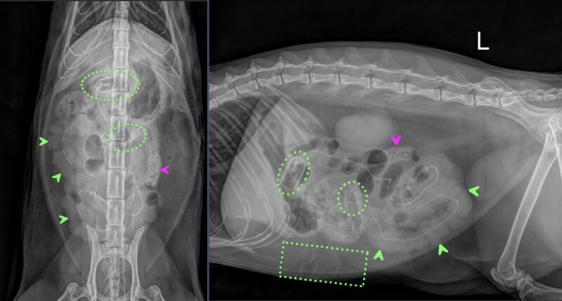 Bildschirmfoto 2026 01 11 um 18 15 11