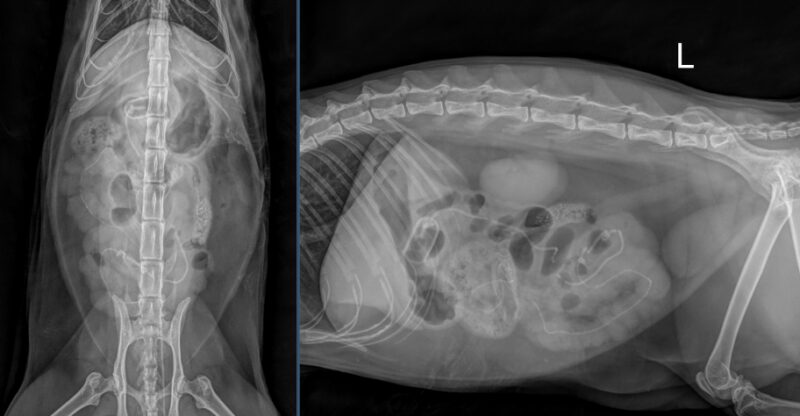 Bildschirmfoto 2026 01 11 um 18 16 03