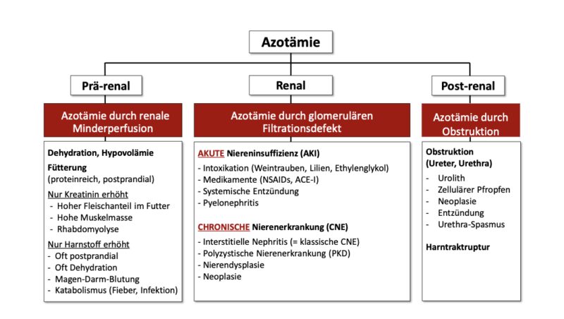 Bildschirmfoto 2026 01 12 um 08 58 00