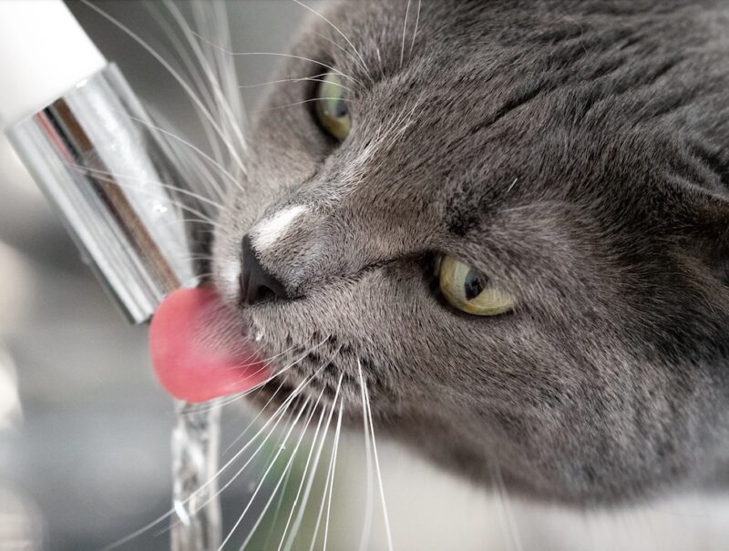 Bildschirmfoto 2026 01 12 um 09 49 29