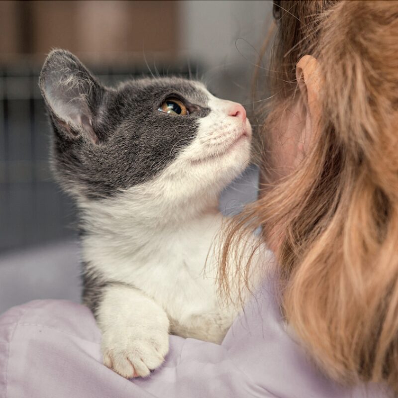 Bildschirmfoto 2026 01 12 um 12 18 08