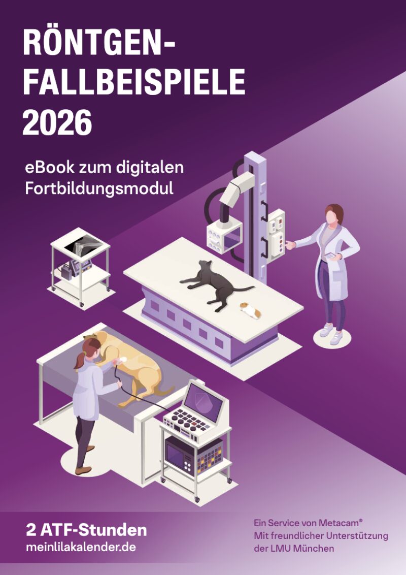 Bildschirmfoto 2026 01 12 um 12 22 02