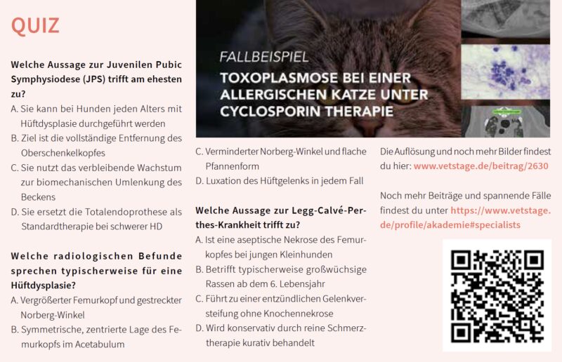 Bildschirmfoto 2026 01 12 um 14 02 30