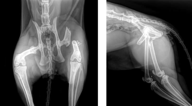 Bildschirmfoto 2026 01 20 um 19 34 04