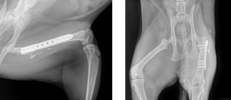 Bildschirmfoto 2026 01 20 um 19 35 48