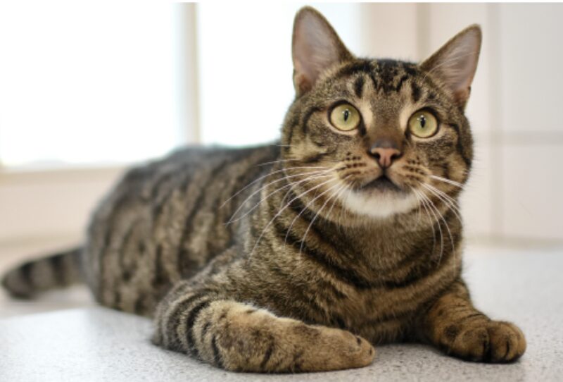 Bildschirmfoto 2026 01 20 um 19 36 28