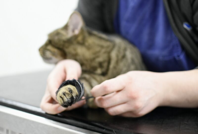 Bildschirmfoto 2026 01 20 um 19 37 00