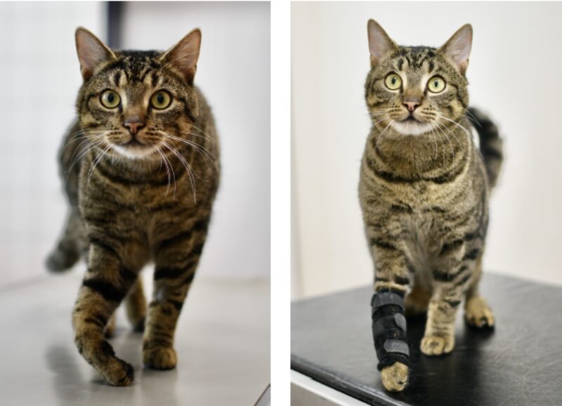 Bildschirmfoto 2026 01 20 um 19 38 04