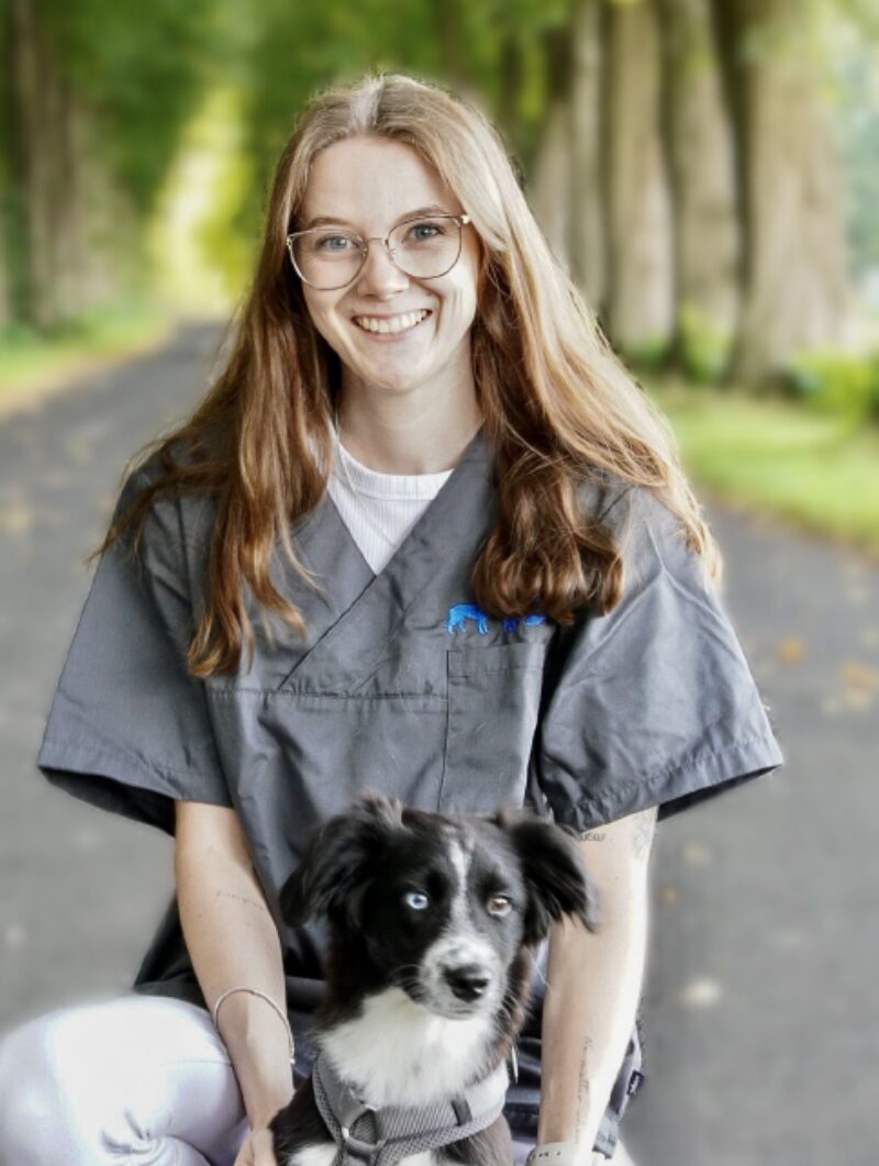 Bildschirmfoto 2026 01 20 um 19 38 39