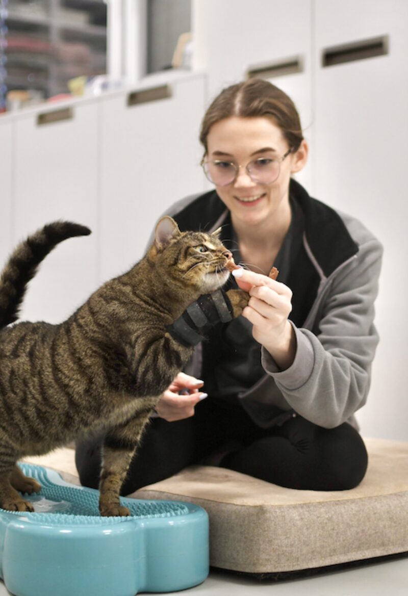 Bildschirmfoto 2026 01 20 um 21 59 21