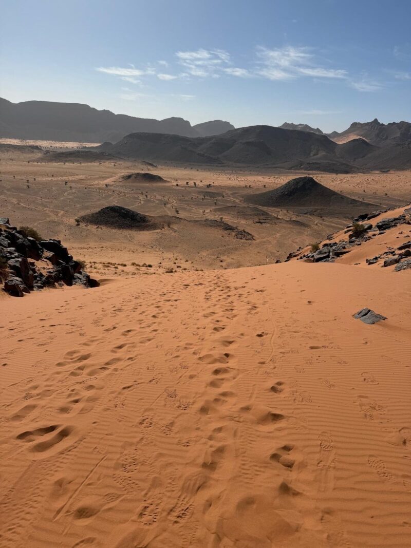 D2ab95fe d35b 4b05 b082 82c0af04eb46