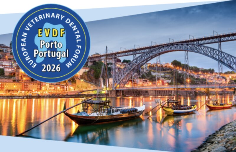 Bildschirmfoto 2026 01 26 um 15 00 55