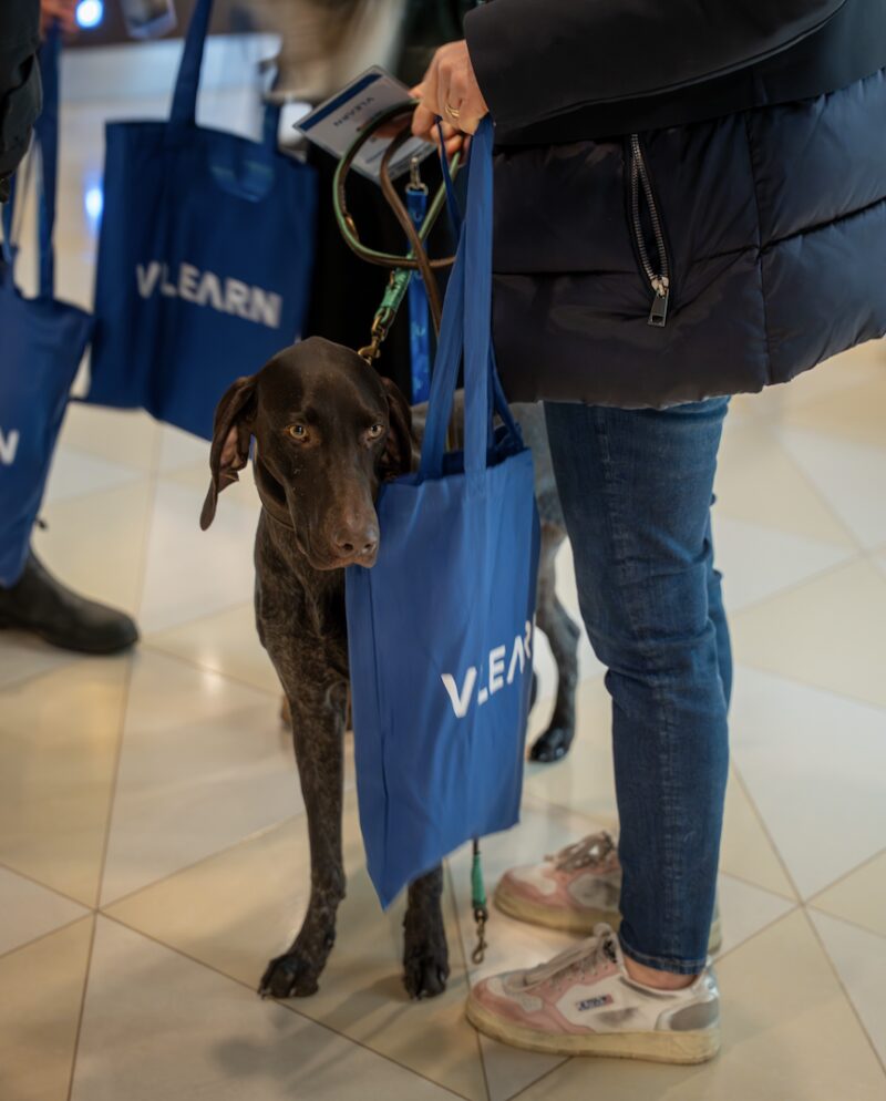 Bildschirmfoto 2026 01 26 um 21 42 45