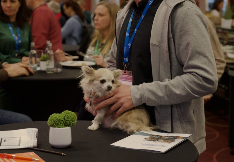 Bildschirmfoto 2026 01 26 um 22 20 17