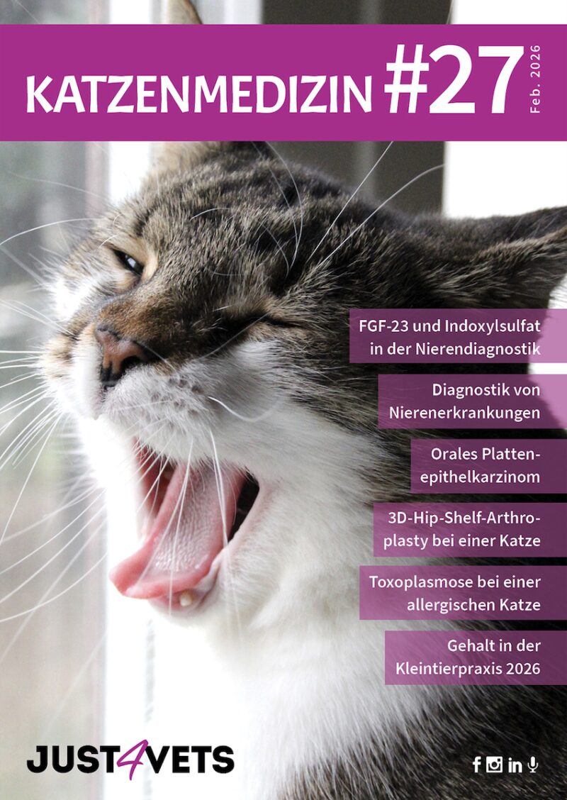 Bildschirmfoto 2026 01 28 um 12 49 12