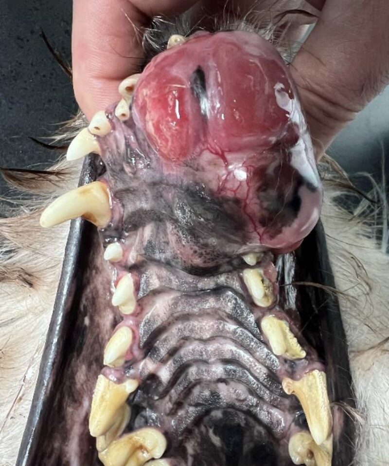 Bildschirmfoto 2026 01 29 um 18 58 58