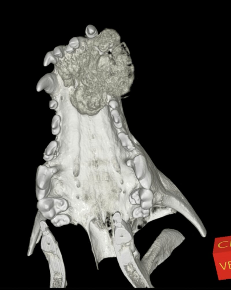 Bildschirmfoto 2026 01 29 um 19 09 07