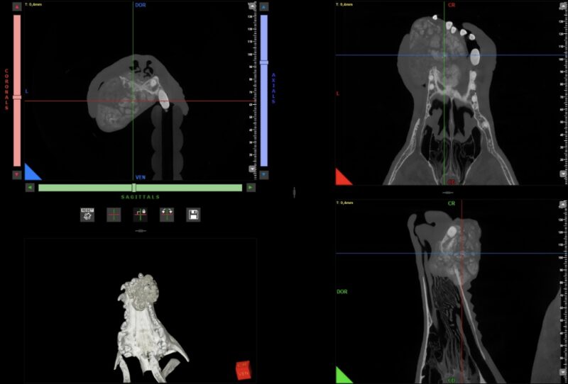 Bildschirmfoto 2026 01 29 um 19 09 58