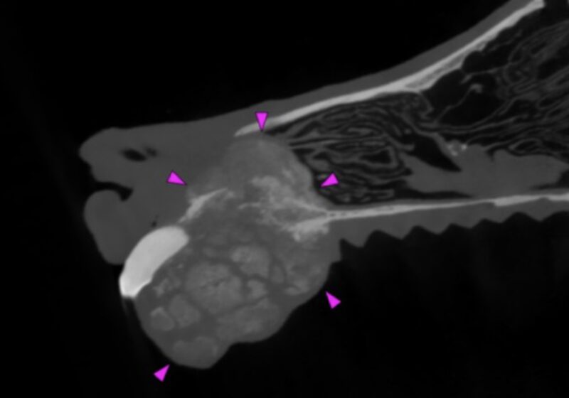 Bildschirmfoto 2026 01 29 um 19 14 51