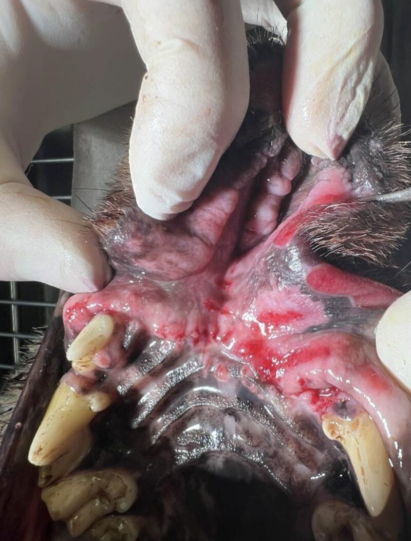 Bildschirmfoto 2026 01 29 um 19 19 00