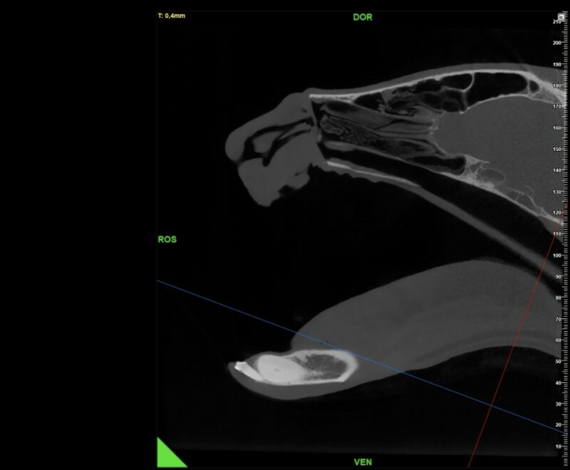 Bildschirmfoto 2026 01 29 um 19 20 18